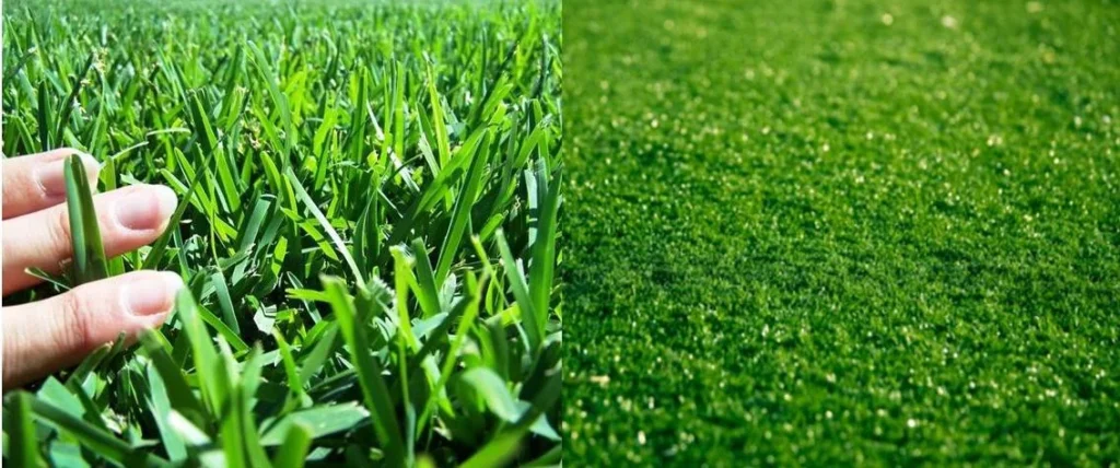 Artificial Turf vs. Natural Grass: Which is Better for Sports Fields?